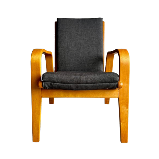 Pair Of Fb-05 & Fb-06 Lounge Chairs By Cees Braakman For Pastoe, 1950s 1