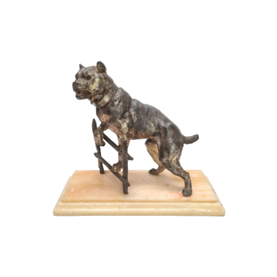 Antiek Frans Beeld Van Een Bulldog Charles Valton 1