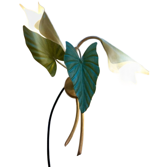 Vintage Aronskelk Wandlampjes - Set Van 2 1