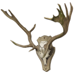 Groot Gewei Op Wandplaat thumbnail 1