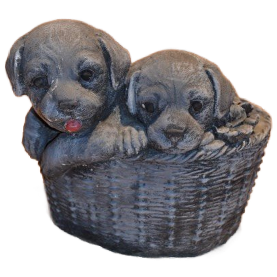 Betonnen Puppy’s In Plantenbakje – Decoratief Showmodel In Stone Kleur 1