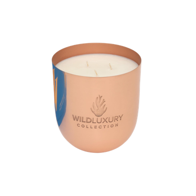 Wild Luxury Collection Handgegoten Sojawas Geurkaars Whitsunday Islands 1000G