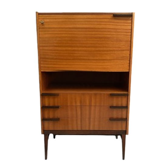 Frantisek Mezulanik Desk Highboard 1
