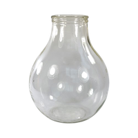Grote Glazen Fles / Gistfles Gistingsfles