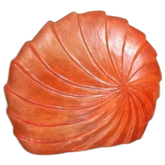 Grote Schelp/ammoniet Vorm Tafellamp, Kunststof 1