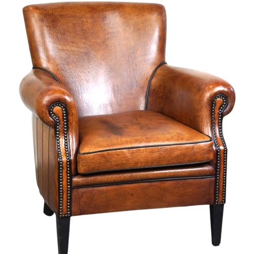 Correcte En Comfortabele Schapenleren Armchair/Fauteuil Met Een Mooie Afwerking