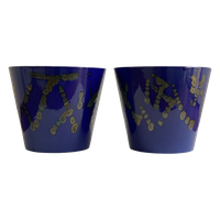 Set Van 2 Blauwe W. Germany Bloempotten