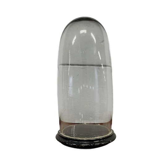 Antieke Glazen Stolp / Hoge Ronde Stolp 1