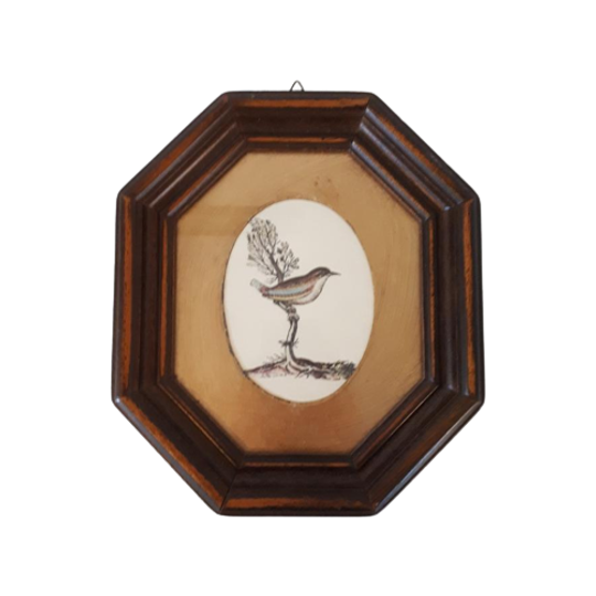 * Schilderijtje Met Vogel Prent Achter Glas 1