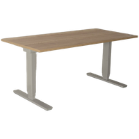 Solidesk Elektrisch Zit-Sta Bureau, Bladkleur Naar Keuze, 160 X 80 Cm, Hoogte Verstelbaar Onderst
