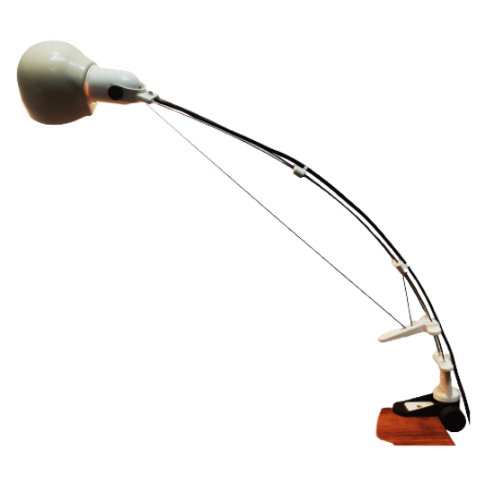 Rare Flex Wire Desk Lamp, 1970s 1