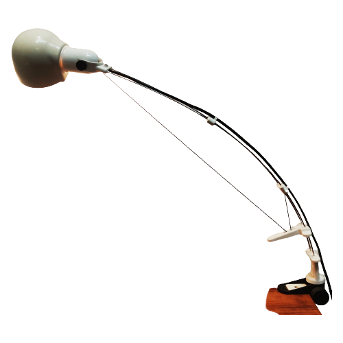 Rare Flex Wire Desk Lamp, 1970S