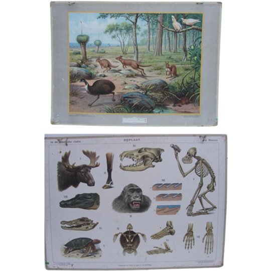 Double Vintage School Chart / Schoolplaat / Schoolkaart 1