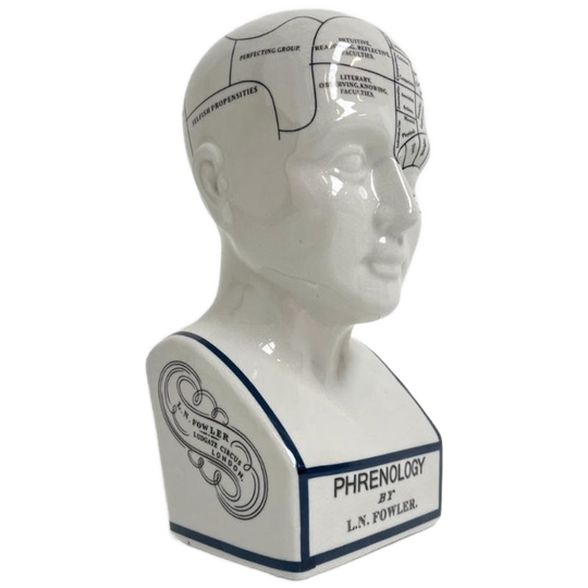 Keramieken 30 Cm Hoge Phrenology Hoofd, 1990’s 1