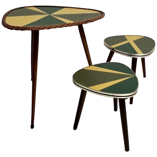 Set Van 3 Gerestaureerde Plantentafels Uit Frankrijk, 1960's 1