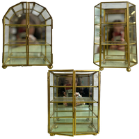 Vintage Messing Gouden Vitrine / Etagere /mini Serre