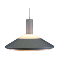 Prachtige En Hoogwaardige Louis Poulsen Hanglamp | Klassenpendel Model 18584 | Jaren 60 Lampje |