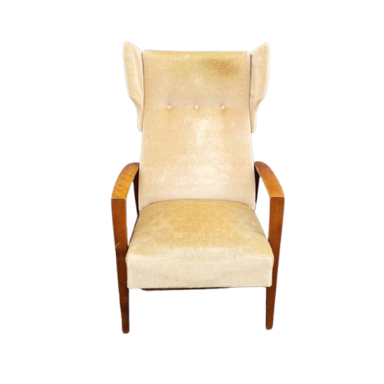 Vintage Jaren 50 Oorfauteuil 1