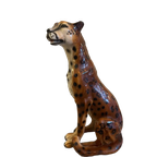 Sisi 🐆 Cheetah Beeld thumbnail 1
