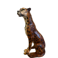 Sisi 🐆 Cheetah Beeld