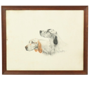 Kleuren Litho Leon Danchin Jachthond Spaniël Genummerd 150-300 thumbnail 1
