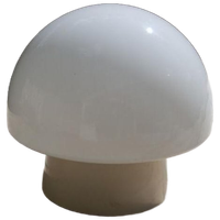 Witte Plafonniere Mushroom