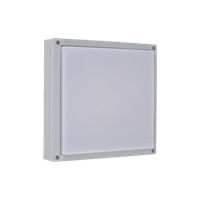 7 Ilmas Mini Flat Drift Buitenlamp Zilver Wit Ip65 Slagvast