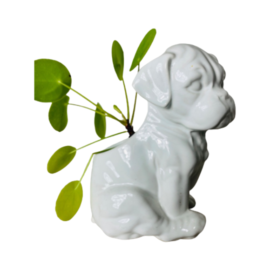 Puppy Bloempot 1