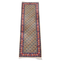 Kleurrijke Oosterse Loper Met Contrasterende Randen En Gezellige Patronen 314X92Cm