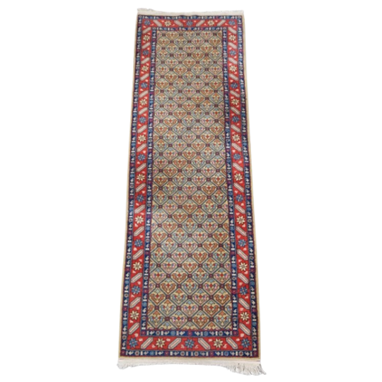 Kleurrijke Oosterse Loper Met Contrasterende Randen En Gezellige Patronen 314x92cm 1
