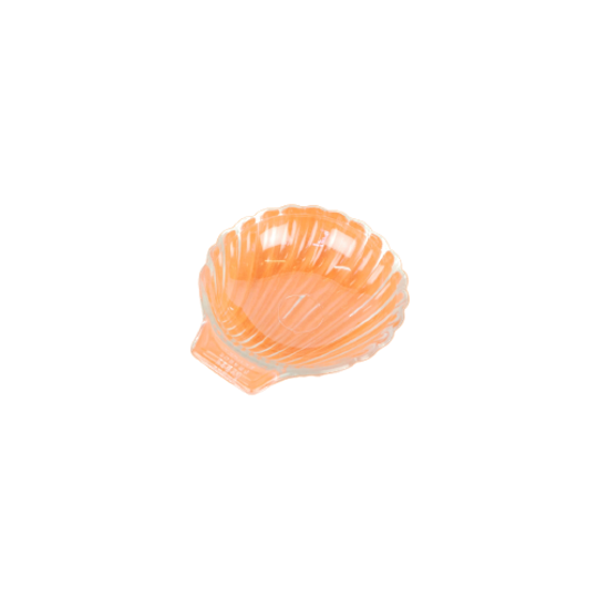 Small Shell 1