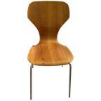 Danerka Rondo Dining Chair Wood thumbnail 1