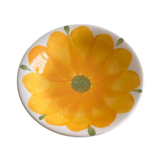 Ironstone Giovanni Valdarno Italy Handbeschilderde Schaal 1