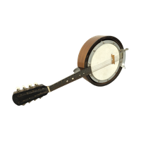 Vintage Banjo