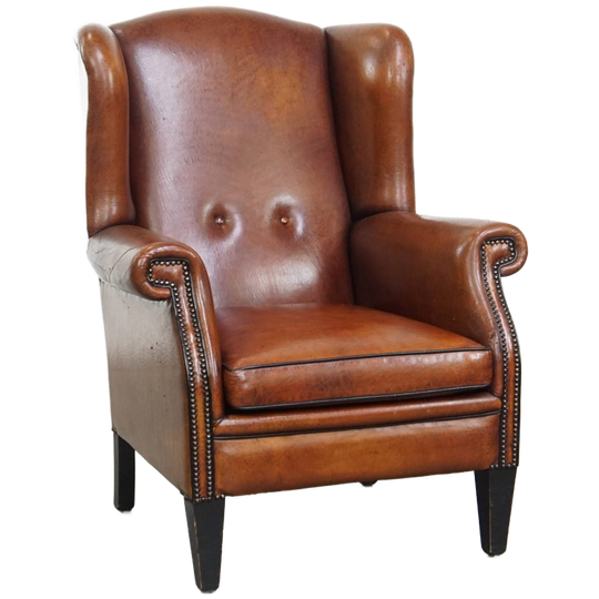 Karaktervolle En Comfortabele Grote Vintage Schapenleren Oorfauteuil Met Prachtige Kleuren 1
