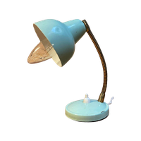 Gooseneck Lamp Pastel Mintgroen – Mini Size