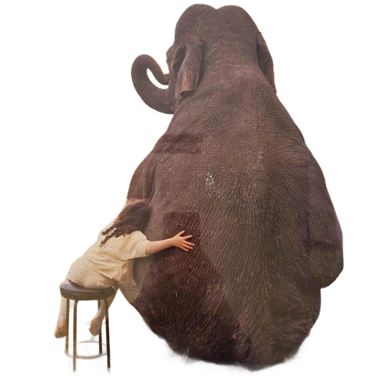 Jaren 70 Vintage Poster In Lijst Olifant Schilderij 1
