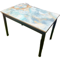 Unieke Handbeschilderde Tafel – Een Kunstwerk Op Poten!