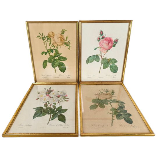 4 Botanische Kaders 1