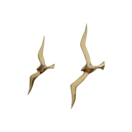 Set Van 2 Grote Messing Meeuwen Wandvogels 35 | 50 Cm 1