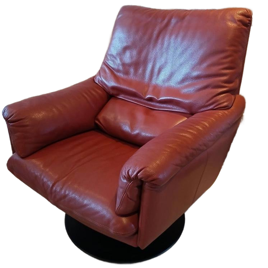 Leolux Fauteuil - Tijdloos Design 1