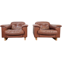 Set 2 De Sede Ds 101 Fauteuils Leer Fauteuil ’70 Nekleer