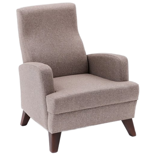 Evila Originals | Aly Fauteuil Bruin 1