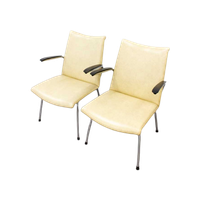 Set Van 2 Vintage Fauteuils 3114 - Gebroeders De Wit Jaren '50-'60