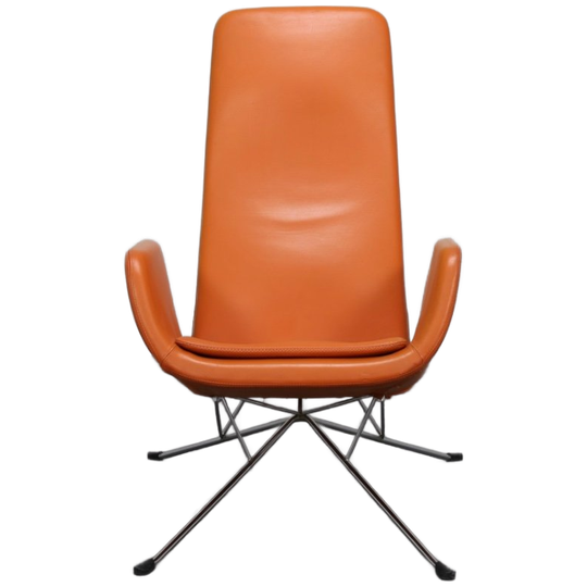 Design Fauteuil Leer Milord Alfredo Häberli Zanotta 1
