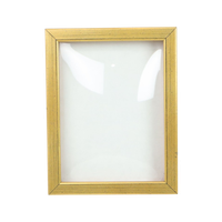 Vintage Diepe Gouden Houten Lijst Met Bol Glas Convex