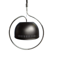 Dijkstra Space Age Hanglamp Chroom En Metaal
