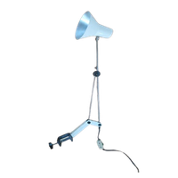 Vintage Archtitecten Bureau Lamp Design.