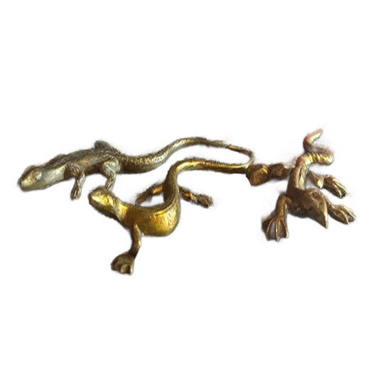 Vintage Messing Hagedissen 1