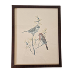 Vintage Schilderij Met Vogels Prent Druk thumbnail 1